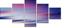 31651562