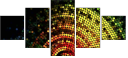 31719145