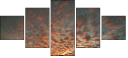32897630