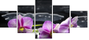 34084516