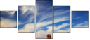 36106694