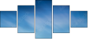 36586904