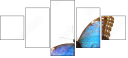 36681830