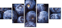 38114663