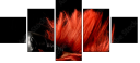 38661910