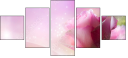 39098232