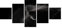 39713173