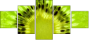 39788047