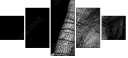41216080