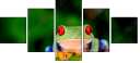 42467641