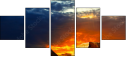 42751455