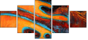 42949973