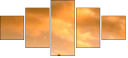 42979292