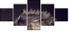 43317658