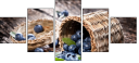 43616365