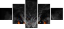 43647000