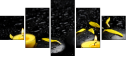 43880281