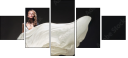 43882892