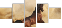 43906966