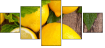 43956293
