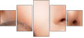 44016829