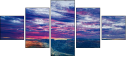 44044757