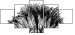44646006