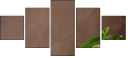 44772824