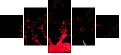 45070058