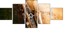 45516171