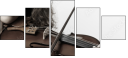 45563046