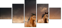 45981925