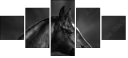 46196337
