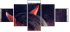46243808