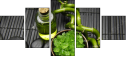 46925109