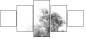 47020348