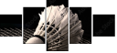47111850