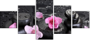 47124830