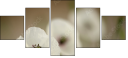 47729615