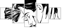 48068245