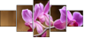 48156250