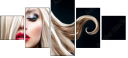 48880493