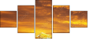 48905885