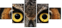 48966303