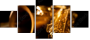 49029894