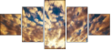 49042592