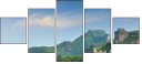 49204590