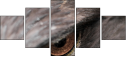 49245808