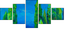 49522829