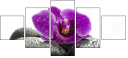 49566180